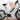 Barletta Attivo - Bandit Bikes